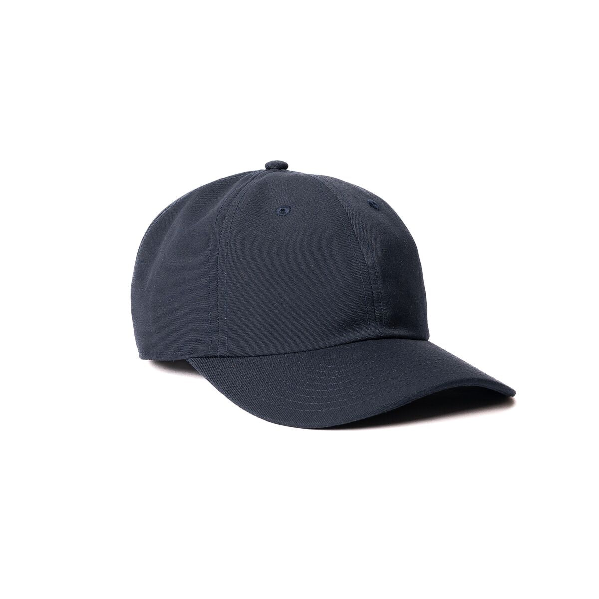 Poly Dad Hat